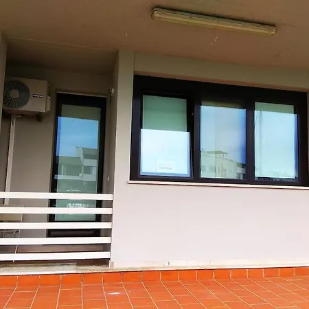 In Darsena A * 利尼亚诺萨比亚多罗